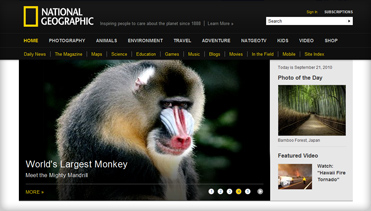 网页DDOS攻击平台